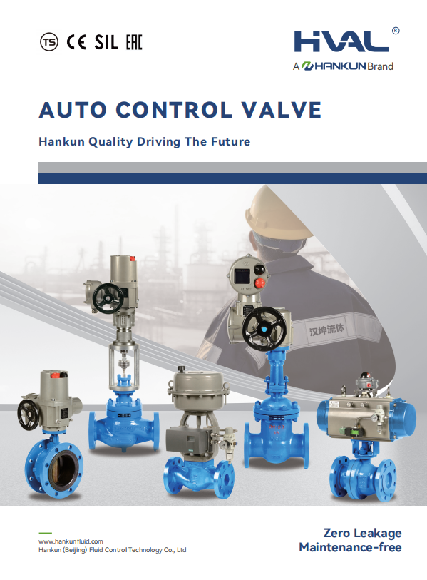 HIVAL Valve Version 4.0